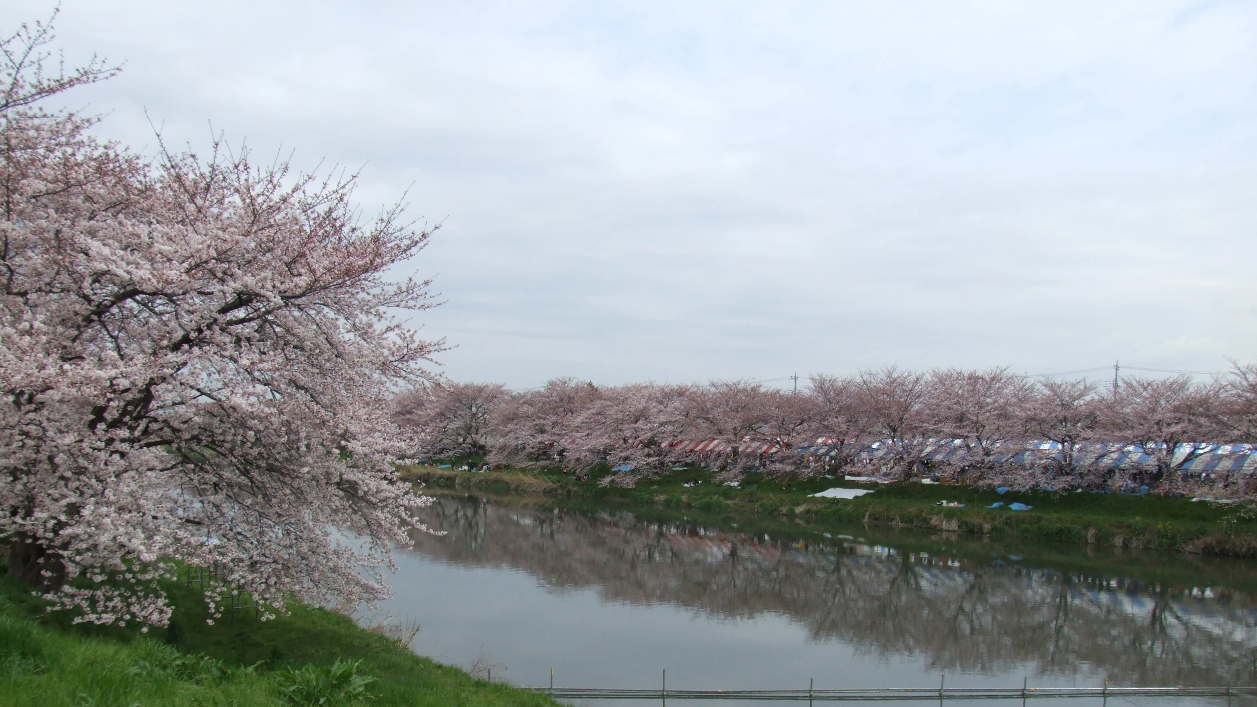 Japanese Rural Landscape